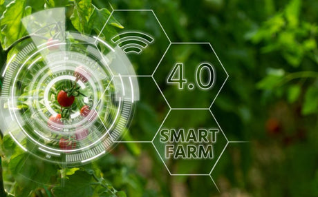 Agricultura secolului XXI - Provocari si solutii inteligente