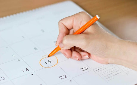 Calendarul gradinii de legume - cum te ajuta sa ai mereu recolte de nota 10?