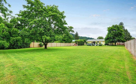 Curatarea terenului cand e necesara si care sunt uneltele de care ai nevoie