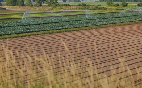 Irigarea prin picurare si alte solutii inteligente in lupta cu seceta