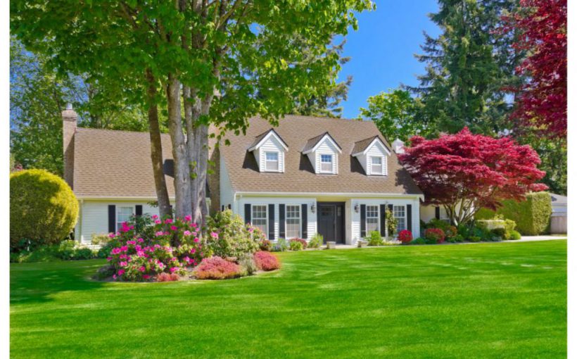 Proiectarea gradinii - ce sa faci ca sa ai o gradina asa cum iti doresti