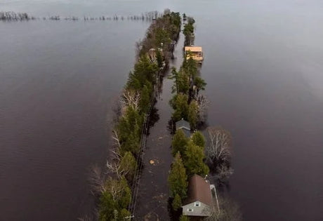 Masuri de prevenire a inundatiilor - INFORMATII si sfaturi utile despre limitarea efectelor
