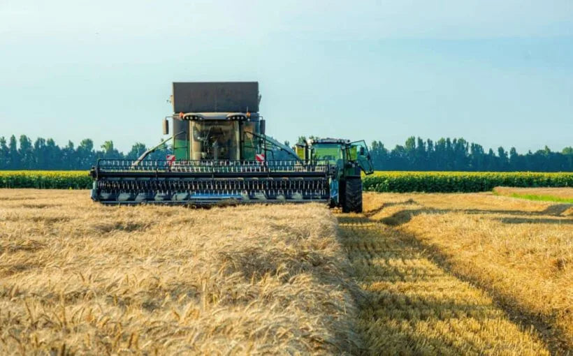 Depozitarea cerealelor - solutii eficiente pentru utilizarea ulterioara in gospodarie si mentinerea integritatii acestora