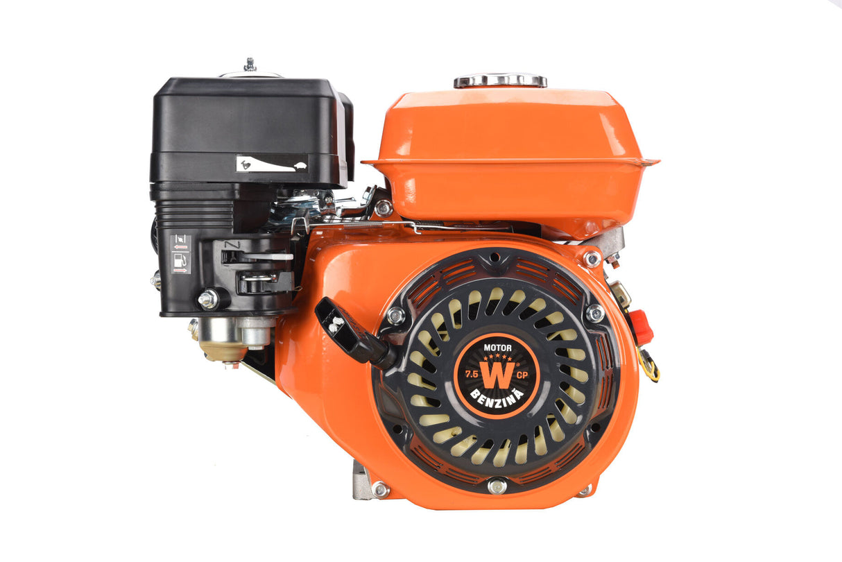 Motor benzina WOLFSON GTX-200, 7 CP, 4 Timpi OHV 170F, ax cu pana 20mm, fulie dubla inclusa - RESIGILAT, 1, atomico.ro
