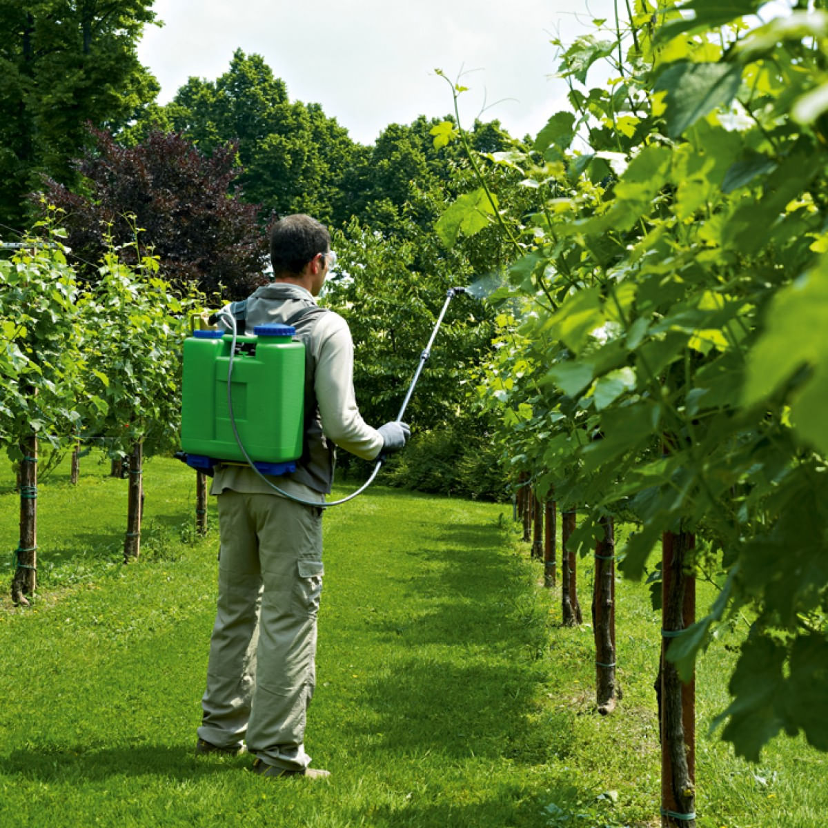 Pulverizator / Pompa de stropit Dimartino-GDM Rosy, 16 L, 2, atomico.ro