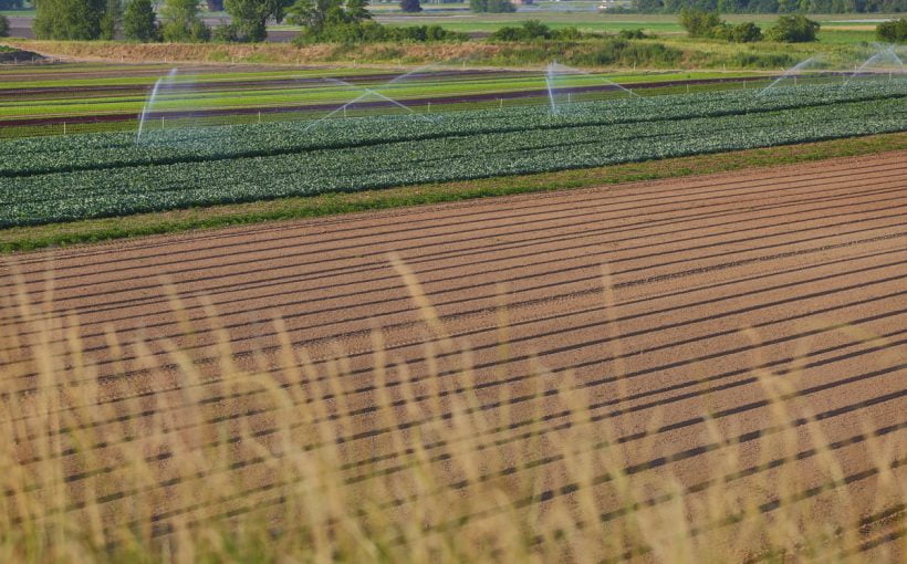 Irigarea prin picurare si alte solutii inteligente in lupta cu seceta