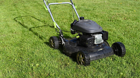 Te-ai intrebat vreodata care este cea mai buna motocoasa? Cu siguranta ca, in acest caz, vrei sa ai grija de gradina ta intr-un mod cat mai eficient si usor cu putinta.