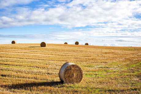 Lucrari agricole - planificarea lunara si sezoniera