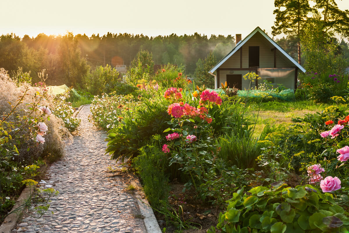 Gradina frumoasa: 50+ poze si idei de amenajare a propriei tale oaze de relaxare
