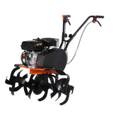 WOLFSON - MOTOSAPATOARE BK -55 