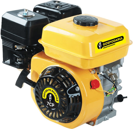 Gospodarul Profesionist, Motor uz general Gospodarul Profesionist GP-170F - benzina - 7 CP - RESIGILAT, 1, atomico.ro