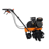 WOLFSON - MOTOSAPATOARE BK -55 