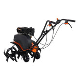 WOLFSON - MOTOSAPATOARE BK -55 