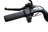 Triciclu electric persoane BLADE VIVA 14, 1200W, 60V 20Ah, 25 km/h, fara permis, autonomie 50 km, rosu-negru