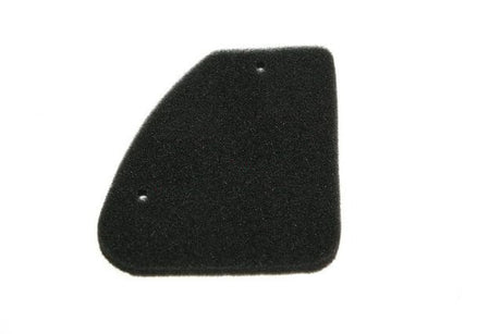 Piese de schimb, Element filtru aer Peugeot Buxy 50, 5, atomico.ro