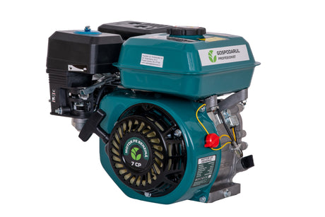 Motoare Electrice si Termice, Motor uz general Gospodarul Profesionist GP-170F - benzina - 7 CP, 3, atomico.ro
