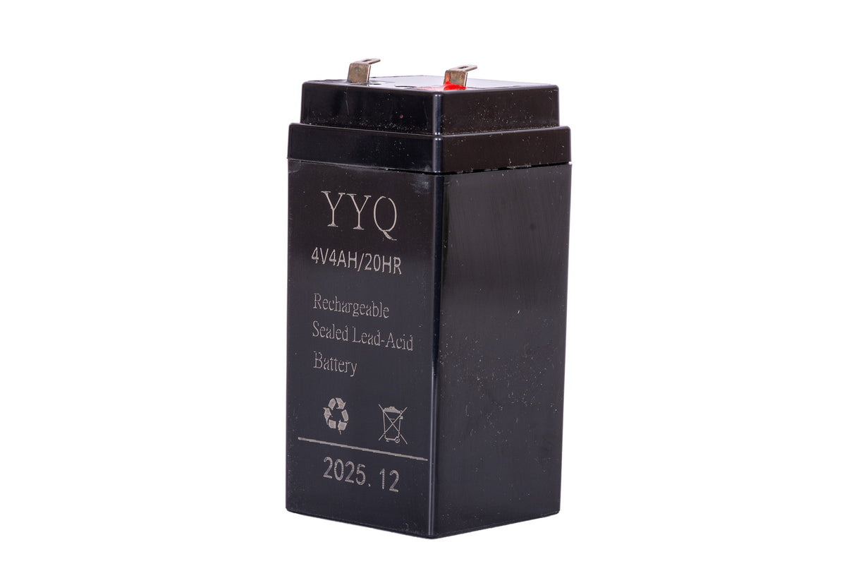 WOLFSON - BATERIE CANTAR 4V 4AH, 3, atomico.ro