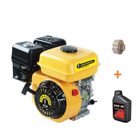 Motoare termice benzina, Motor uz general Gospodarul Profesionist - 7 CP + 1 ulei 0.6L + fulie dubla, 1, atomico.ro