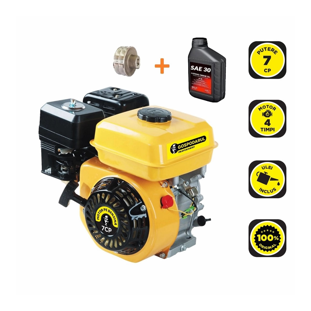 Motor uz general Gospodarul Profesionist - 7 CP + 1 ulei 0.6L + fulie dubla, 2, atomico.ro