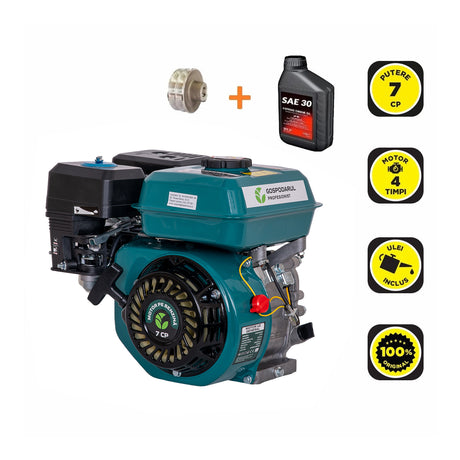 Motoare Electrice si Termice, Motor uz general Gospodarul Profesionist - 7 CP + 1 ulei 0.6L + fulie dubla, 1, atomico.ro