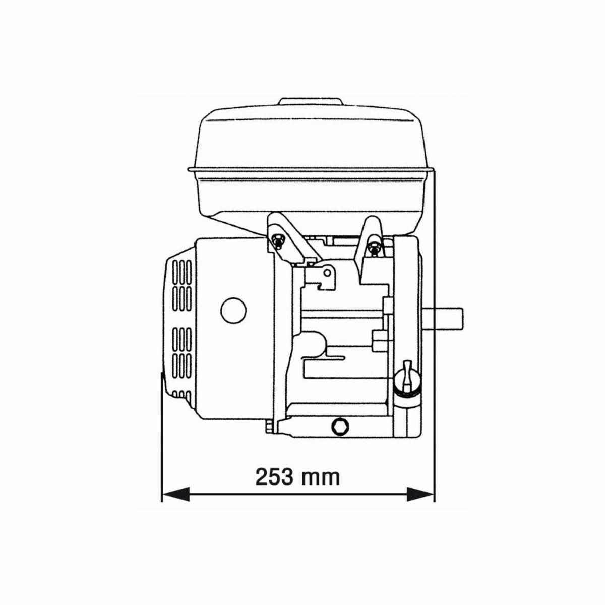 Motor uz general Gospodarul Profesionist - 7 CP + 1 ulei 0.6L + fulie dubla, 5, atomico.ro