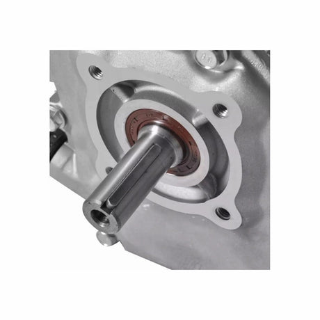 Motoare termice benzina, Motor uz general Gospodarul Profesionist GP-170F - benzina - 7 CP, 2, atomico.ro